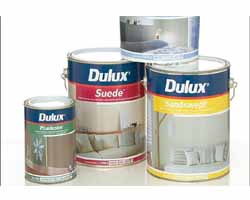 Dulux Paint